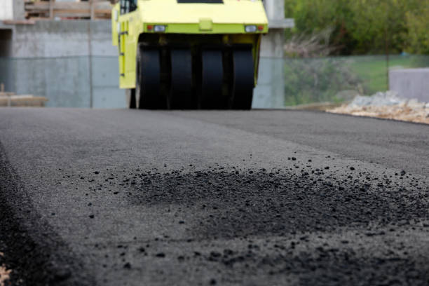 Best Driveway Pavers Near Me  in Round Lake Beach, IL